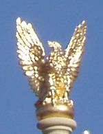 Gilded eagle