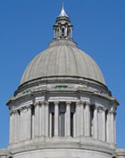 Washington dome columns