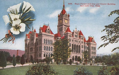 State flower and temporary state capitol